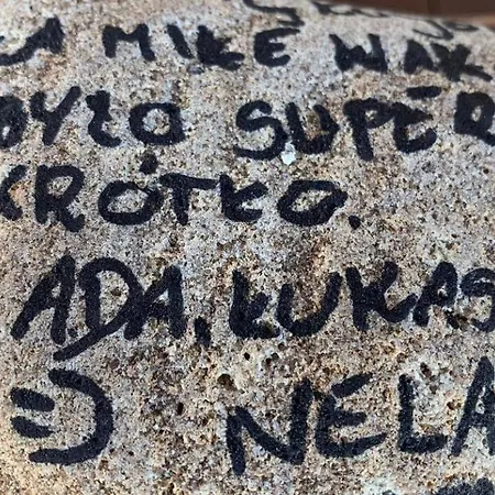 Pod Debami Wicie- Drewniane Nad Morzem *