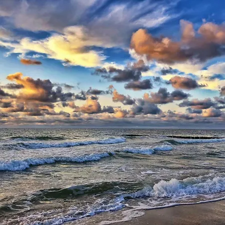 Pod Debami Wicie- Drewniane Nad Morzem