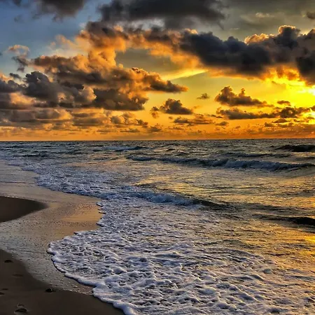 ホリデーパーク Pod Debami Wicie- Drewniane Nad Morzem *