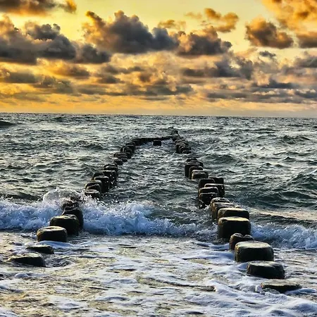 Pod Debami Wicie- Drewniane Nad Morzem *