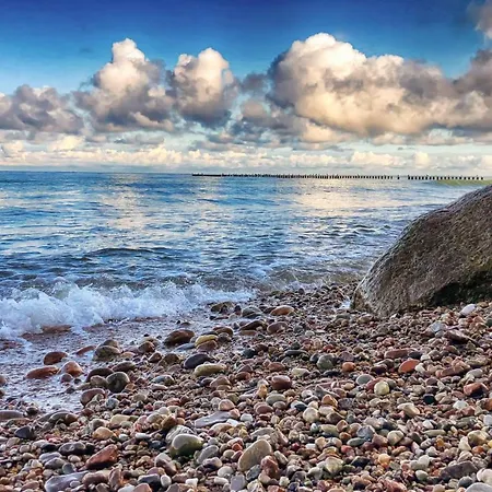 Pod Debami Wicie- Drewniane Nad Morzem *