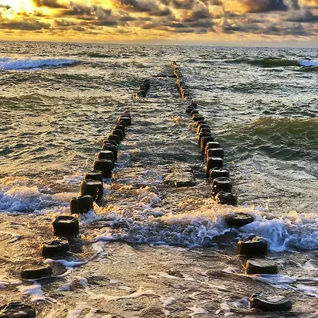 Pod Debami Wicie- Drewniane Nad Morzem