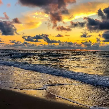 Pod Debami Wicie- Drewniane Nad Morzem *