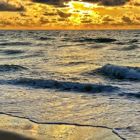 Pod Debami Wicie- Drewniane Nad Morzem