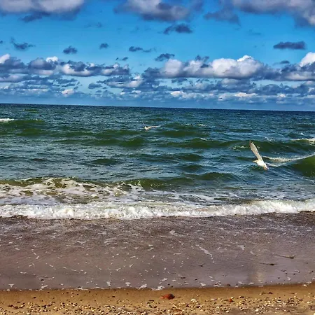 Pod Debami Wicie- Drewniane Nad Morzem ホリデーパーク ビチェ